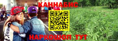 дмт Тара