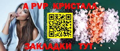 дмт Тара